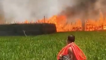 সিগারেটের আগুনে পুড়ল শত বিঘা জমির পানের বরজ
