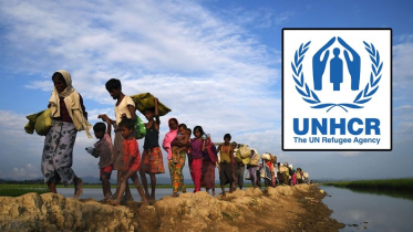 ১০ মাসে আরও ১ লাখ ৩৬ হাজার রোহিঙ্গা অনুপ্রবেশ করেছে : ইউএনএইচসিআর