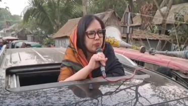 আমার হাঁস আমার চাষ করা ধানই খাবে: রুমিন ফারহানা