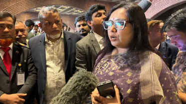 এই সংসদে ৩০ শতাংশ মানুষের প্রতিনিধিত্ব নেই: রুমিন ফারহানা এই সংসদে ৩০ শতাংশ মানুষের প্রতিনিধিত্ব নেই: রুমিন ফারহানা