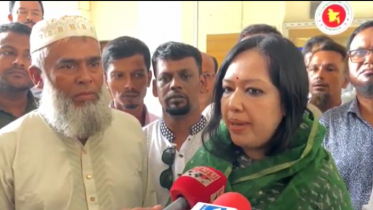 শেখ হাসিনার দেশে ফিরতে আইনগত কোনো বাধা নেই: রুমিন ফারহানা