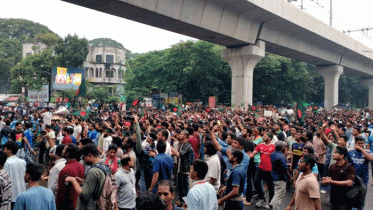 কোটাবিরোধী আন্দোলন: শাহবাগে শিক্ষার্থীরা