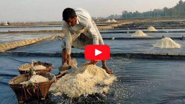 তীব্র তাপপ্রবাহে লবণ উৎপাদনে রেকর্ড