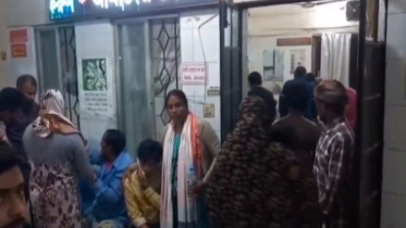 পাগলা কুকুরের কামড়ে সাভারে আহত অন্তত ৭০ জন