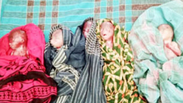 শার্শায় এক গৃহবধূর পাঁচ সন্তানের জন্ম, তবে কেউ বেঁচে নেই শার্শায় এক গৃহবধূর পাঁচ সন্তানের জন্ম, তবে কেউ বেঁচে নেই