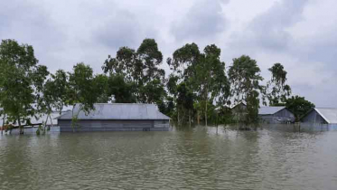 শেরপুরে ব্রহ্মপুত্র নদের পানিতে ৬ ইউনিয়ন প্লাবিত