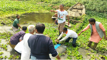 বেলকুচিতে খাল পরিষ্কার কর্মসূচির উদ্বোধন করলেন এমপি আলীম
