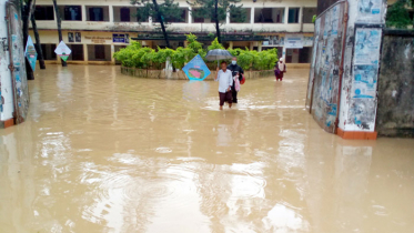 নালিতাবাড়ি ও ঝিনাইগাতী উপজেলার ৫০ গ্রাম প্লাবিত