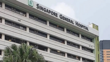 স্পিকারের সহধর্মিণী দিলারা হাফিজ সিঙ্গাপুরে ভেন্টিলেশনে স্পিকারের সহধর্মিণী দিলারা হাফিজ সিঙ্গাপুরে ভেন্টিলেশনে