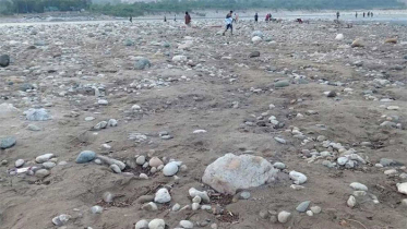 সাদা পাথর লুটের ঘটনায় মামলা, আসামি ১৫০০