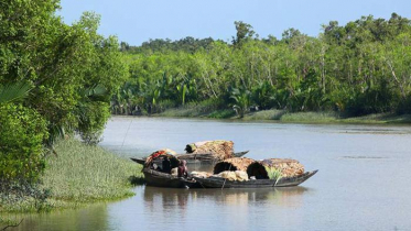 সুন্দরবনে ৩ মাস মাছ ধরা ও পর্যটন বন্ধ ঘোষণা