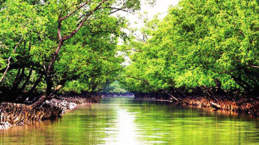 ভ্রমণের জন্য আজ খুলেছে সুন্দরবন