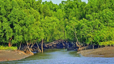 জীববৈচিত্র্য রক্ষায় সুন্দরবনে তিন মাসের নিষেধাজ্ঞা শুরু ১ জুন জীববৈচিত্র্য রক্ষায় সুন্দরবনে তিন মাসের নিষেধাজ্ঞা শুরু ১ জুন