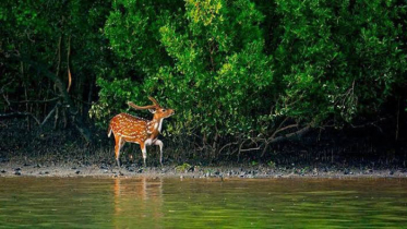 পালিত হচ্ছে ‘বিশ্ব পর্যটন দিবস’