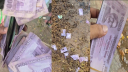 বর্জ্যের ভাগাড়ে টাকার বস্তা, আসল ভেবে হরিলুট