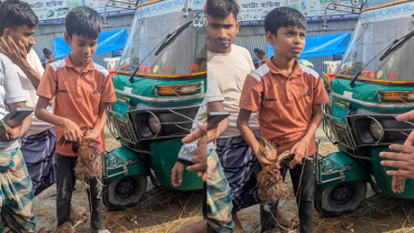 সাইকেলের আশায় মুরগী বিক্রি, স্বপ্ন পূরণ হবে কী ক্ষুদে শিক্ষার্থী তামিমের? সাইকেলের আশায় মুরগী বিক্রি, স্বপ্ন পূরণ হবে কী ক্ষুদে শিক্ষার্থী তামিমের?