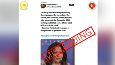 তানিয়া আমিরের বক্তব্য আওয়ামী এজেন্ডারই প্রতিফলন: প্রেস উইং
