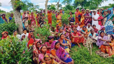 ১২০ টাকা মজুরিতেই কাজে ফেরার সিদ্ধান্ত চা-শ্রমিকদের