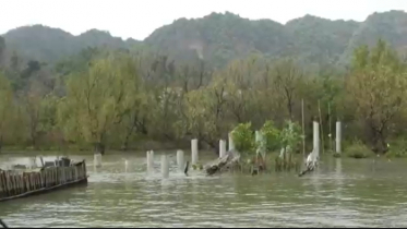 মিয়ানমার থেকে ছোড়া গুলিতে টেকনাফে শিশু নিহত