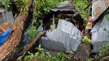 মধ্যরাতে ঠাকুরগাঁওয়ে কালবৈশাখী ঝড়ের তাণ্ডব, ব্যাপক ক্ষয়ক্ষতি
