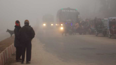 কুয়াশার চাদরে ঢাকা পড়েছে ঠাকুরগাঁও, জনজীবনে দুর্ভোগ