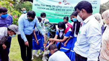 ঠাকুরগাঁওয়ে বৃক্ষরোপন কর্মসূচির উদ্বোধন