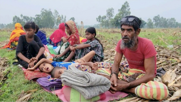 অবশেষে রাতের আধারে শূন্যরেখা থেকে ১১ জনকে ফেরত নিলো বিএসএফ অবশেষে রাতের আধারে শূন্যরেখা থেকে ১১ জনকে ফেরত নিলো বিএসএফ