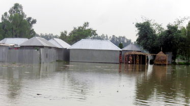 পানিবন্দী তিস্তাপাড়ের ২৪ হাজার মানুষ