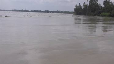 তিস্তায় পানি আরও বেড়েছে, ২০ গ্রামের মানুষ পানিবন্দি