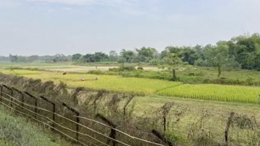 ভারতের ত্রিপুরায় ৩ বাংলাদেশীকে পিটিয়ে হত্যা