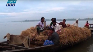 দেশের বন্যা পরিস্থিতির আরো অবনতি (ভিডিও)