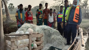 হাতিয়ায় অবৈধ জাল, ট্রলার ও মাছসহ ৯ জেলে আটক