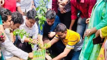 বিশ্ব পরিবেশ দিবস উপলক্ষে ঢাবিতে ছাত্রলীগের বৃক্ষরোপণ