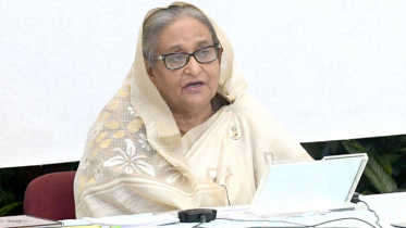 ‘ক্রীড়া ও সংস্কৃতির বিকাশে শেখ কামালের বিরাট অবদান রয়েছে’