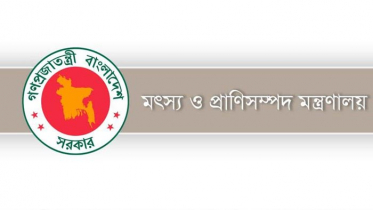 মৎস্য ও প্রাণিসম্পদ খাতে উৎপাদন ও সরবরাহ অব্যাহত রাখার উদ্যোগ