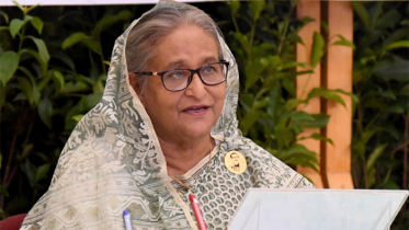 ঢাকা বিশ্ববিদ্যালয় বাঙালি জাতির সকল অর্জনের বাতিঘর: প্রধানমন্ত্রী