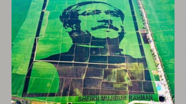 ‘শস্যচিত্রে বঙ্গবন্ধু’র ধান কাটা উৎসব আজ