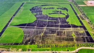 গিনেস বুকে স্থান পেয়েছে ‘শস্যচিত্রে বঙ্গবন্ধু’