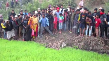 সরাইলে মহাসড়কের নিচে মিলল যুবকের লাশ