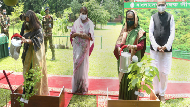 সবুজ-শ্যামল বাংলাদেশ আরো সবুজ হোক: প্রধানমন্ত্রী