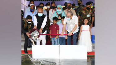 দেশীয় প্রজাতির মাছ সংরক্ষণে উদ্যোক্তাদের এগিয়ে আসার আহ্বান রাষ্ট্রপতির