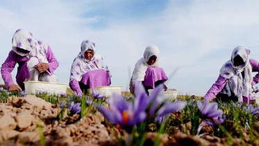 তালেবানের চোখ রাঙানি উপেক্ষা আফগান নারীদের