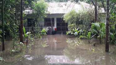 বাগেরহাটের নিম্নাঞ্চল প্লাবিত, পানিবন্দি ২ হাজার পরিবার