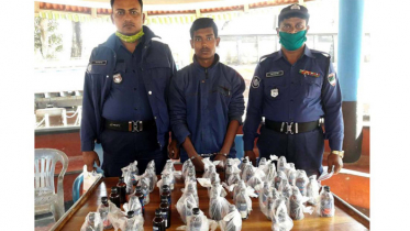 কলারোয়ায় সীমান্তে বিএসএফ কর্তৃক ২ নারী হস্তান্তর