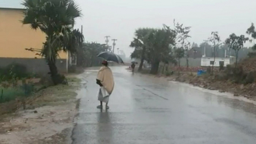 হিলিতে অসময়ে বৃষ্টিপাতে চিন্তিত কৃষকরা