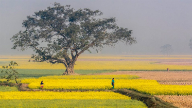 যেমন থাকবে আজকের আবহাওয়া