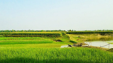 দিনের তাপমাত্রা হ্রাস পেতে পারে