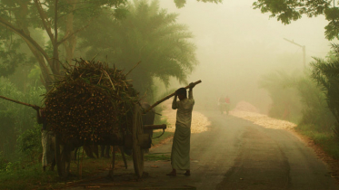 তাপমাত্রা বাড়লেও কমছে না ঠান্ডা
