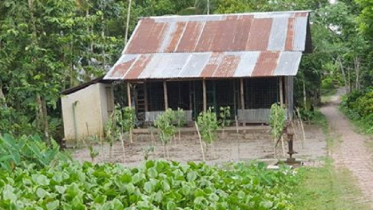 গাছ লাগিয়ে মন্দিরের জমি দখলের চেষ্টা