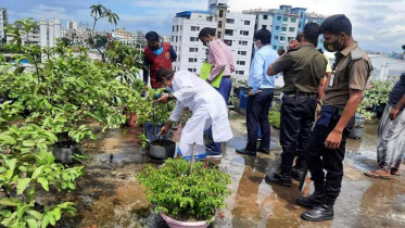 ২৩ ভবনে এডিসের লার্ভা, তিন লক্ষাধিক টাকা জরিমানা